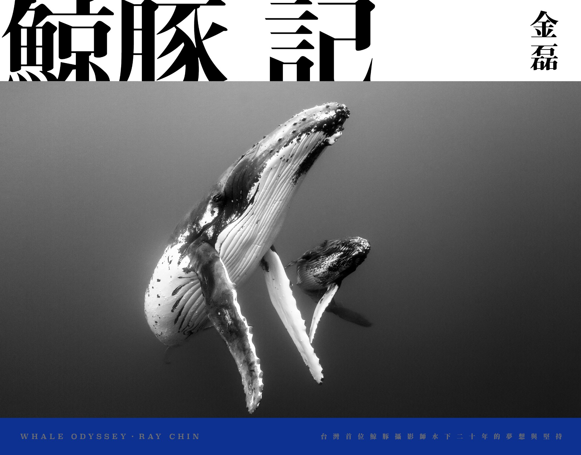 《鯨豚記》書封