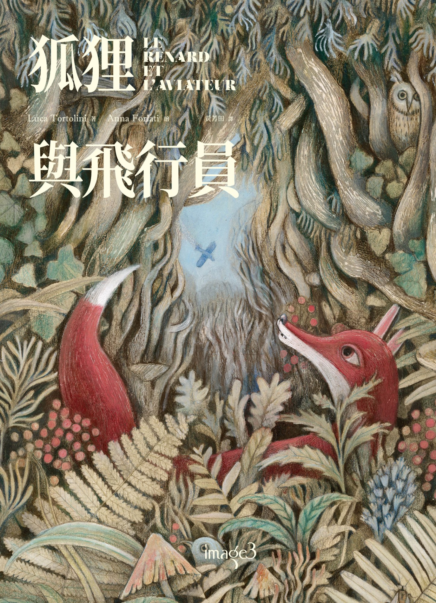 《狐狸與飛行員》書封